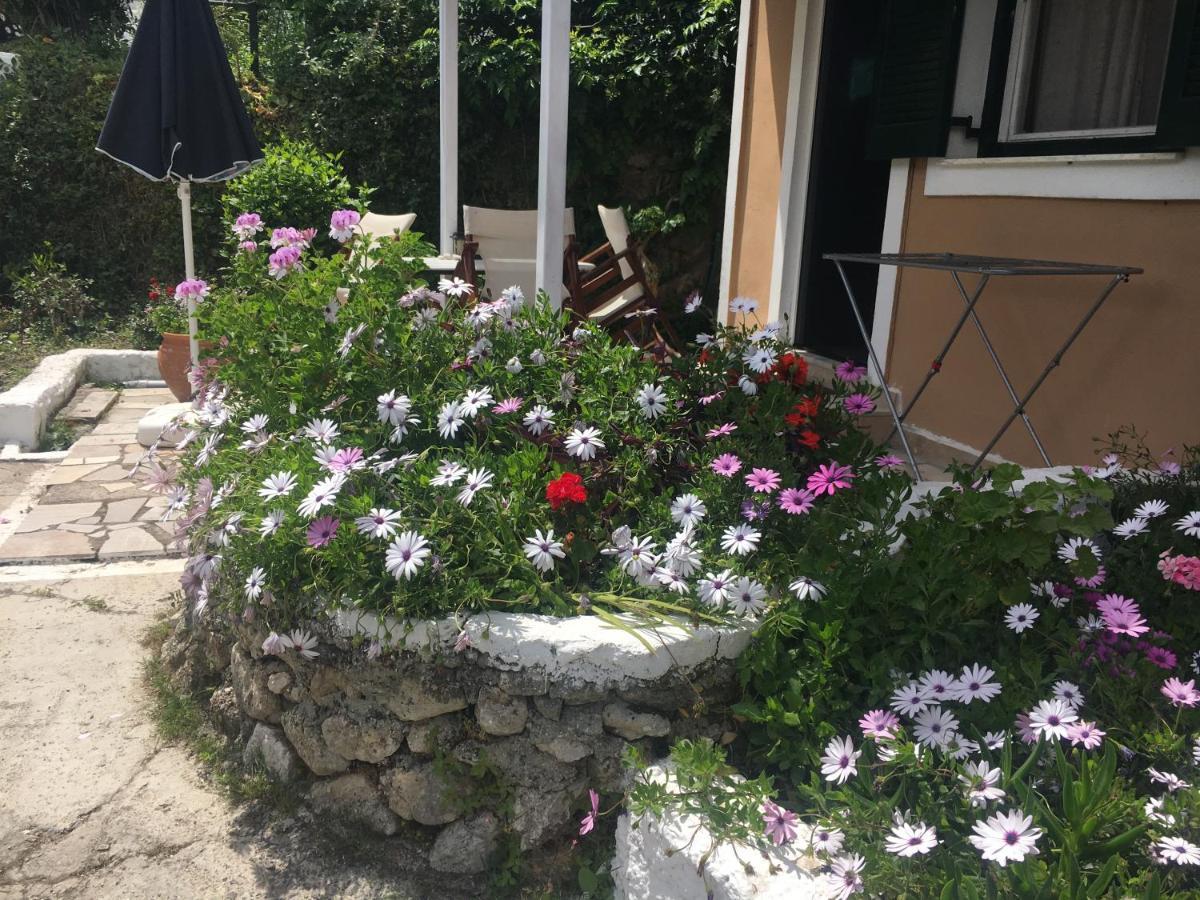 Villa Stephanie Paleokastritsa Zewnętrze zdjęcie