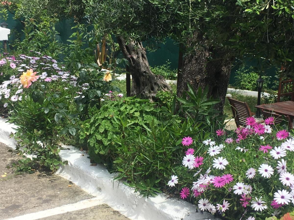 Villa Stephanie Paleokastritsa Zewnętrze zdjęcie